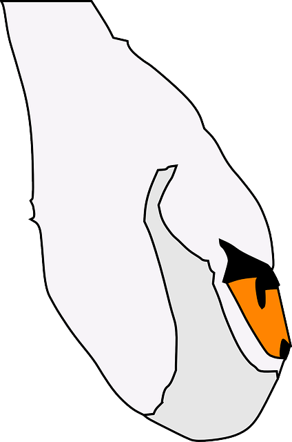 Free download Swan Fowl Water - Free vector graphic on Pixabay free illustration to be edited with GIMP free online image editor