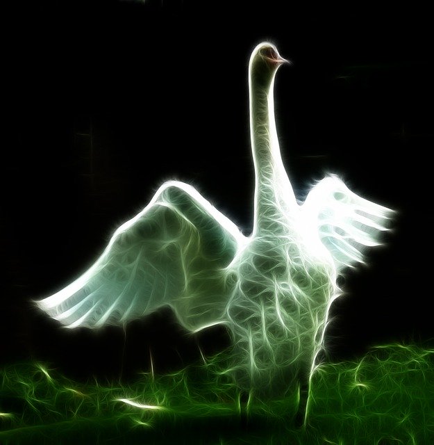 Free download Swan Image Editing -  free illustration to be edited with GIMP free online image editor