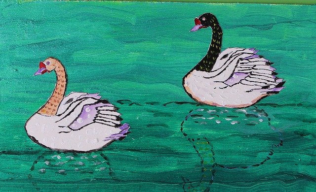 Free download Swans Volatile Etangs -  free illustration to be edited with GIMP free online image editor