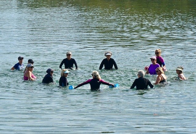 Free download Swimmers Exercise Elderly -  free photo or picture to be edited with GIMP online image editor