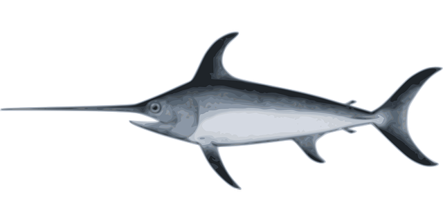 Free download Swordfish Species Underwater - Free vector graphic on Pixabay free illustration to be edited with GIMP free online image editor