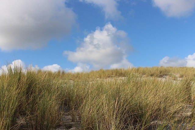 Free download Sylt Dune Landscape Blue Sky -  free photo or picture to be edited with GIMP online image editor