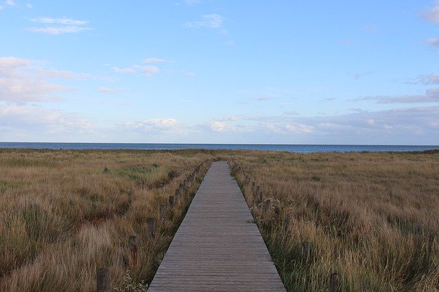 Free download Sylt Kampen Dune Landscape -  free photo or picture to be edited with GIMP online image editor