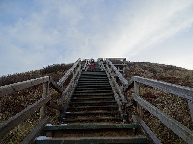 Free download Sylt Uwe Dune Wood -  free photo or picture to be edited with GIMP online image editor