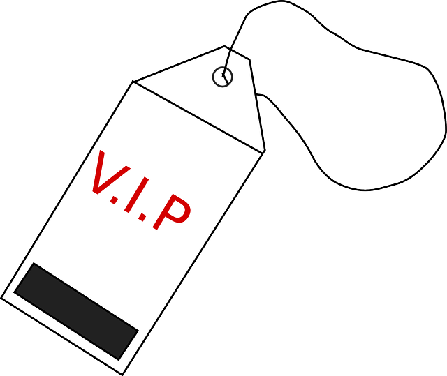 Free download Tag Vip Luggage - Free vector graphic on Pixabay free illustration to be edited with GIMP free online image editor