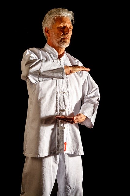 Free download Tai Chi Taiji Martial Arts -  free photo or picture to be edited with GIMP online image editor