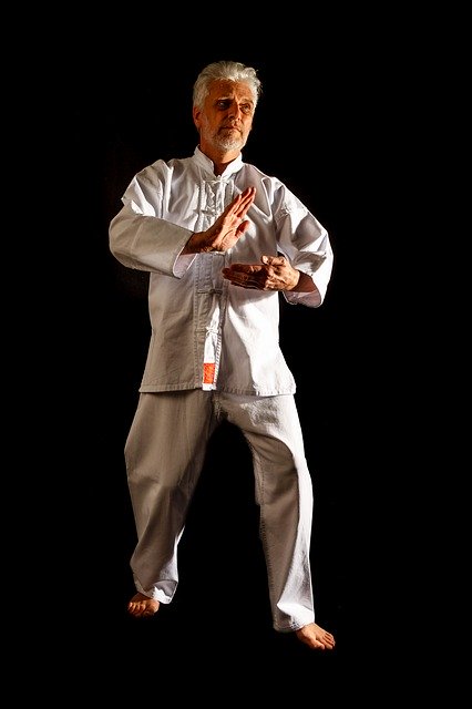 Free download Tai Chi Taiji Qigong Martial -  free photo or picture to be edited with GIMP online image editor