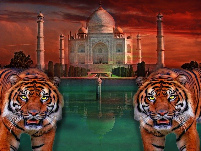 Free download Taj Mahal Tiger India Big -  free illustration to be edited with GIMP free online image editor