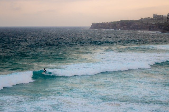 Free download Tamarama Beach Surfer Wave -  free photo or picture to be edited with GIMP online image editor