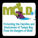 Tampa Mold Remediation  screen for extension Chrome web store in OffiDocs Chromium