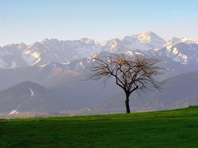 Free download Tatry Tree Landscape -  free photo or picture to be edited with GIMP online image editor