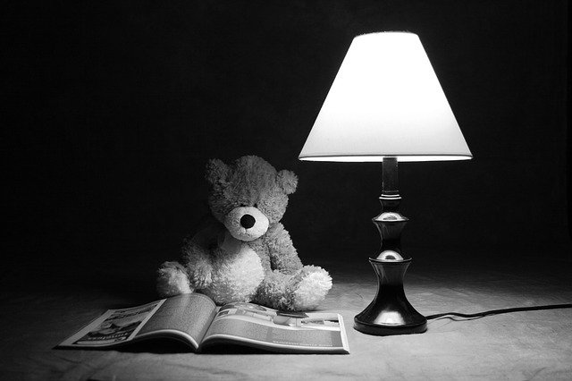 Free download Teddy Bear Black And White Toy -  free photo or picture to be edited with GIMP online image editor