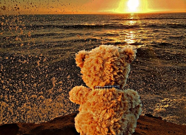 Free download Teddy Bear Lonely Sunset -  free illustration to be edited with GIMP free online image editor