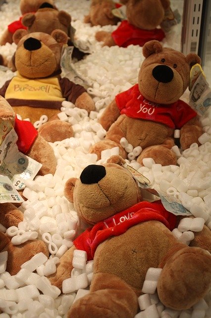 Free download Teddy Bear Prize Win -  free photo or picture to be edited with GIMP online image editor