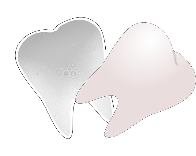 Free download Teeth Tooth Dentistry - Free vector graphic on Pixabay free illustration to be edited with GIMP free online image editor