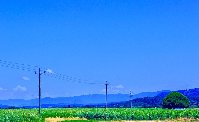 Free download Telegraph Line Sugarcane Farmland -  free photo or picture to be edited with GIMP online image editor