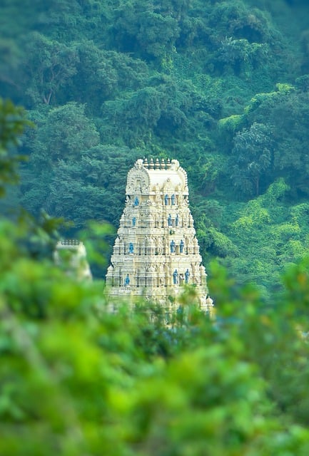 Free download temple forest visakhapatnam nature free picture to be edited with GIMP free online image editor