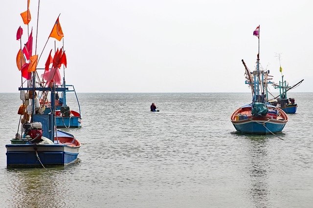 Free download Thailand Fishing Boats -  free photo or picture to be edited with GIMP online image editor