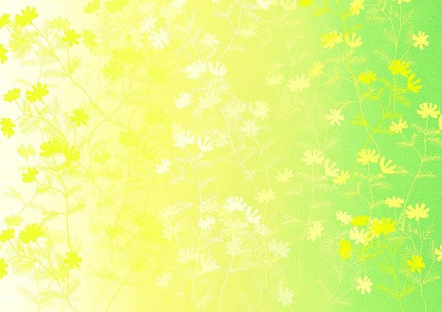 Free download The Background Spring Flowers -  free illustration to be edited with GIMP free online image editor