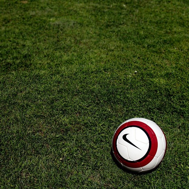 Free download The Ball Football Grass -  free photo or picture to be edited with GIMP online image editor