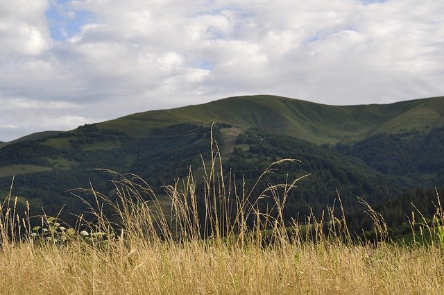 Free download The Carpathians Meadow Grass -  free photo or picture to be edited with GIMP online image editor