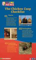 Free download The Chicken Coop Checklist  | Egiyok News free photo or picture to be edited with GIMP online image editor