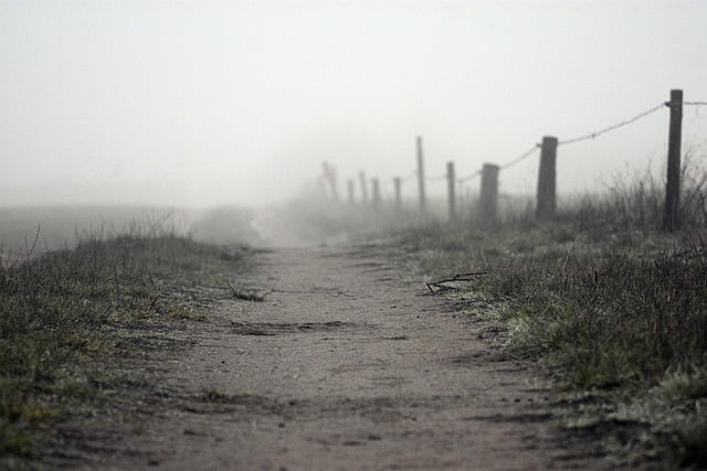 Free download the fog foggy morning fields hazy free picture to be edited with GIMP free online image editor