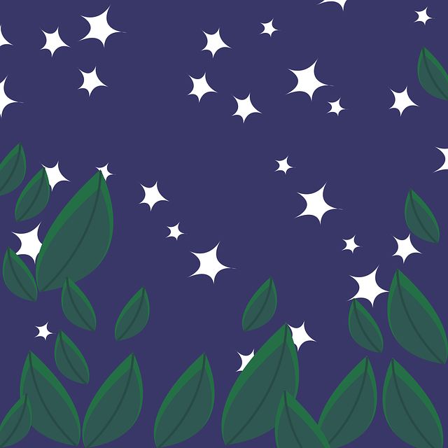 Free download The Night Sky Star - Free vector graphic on Pixabay free illustration to be edited with GIMP free online image editor