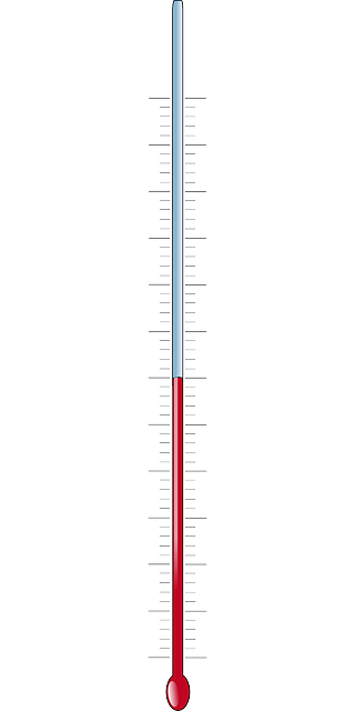 Free download Thermometer Temperature - Free vector graphic on Pixabay free illustration to be edited with GIMP free online image editor