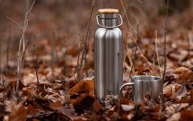 Free download thermos camping autumn foliage free picture to be edited with GIMP free online image editor