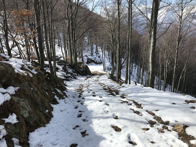 Free download The Road To Alpe Spoccia Alpine -  free photo or picture to be edited with GIMP online image editor