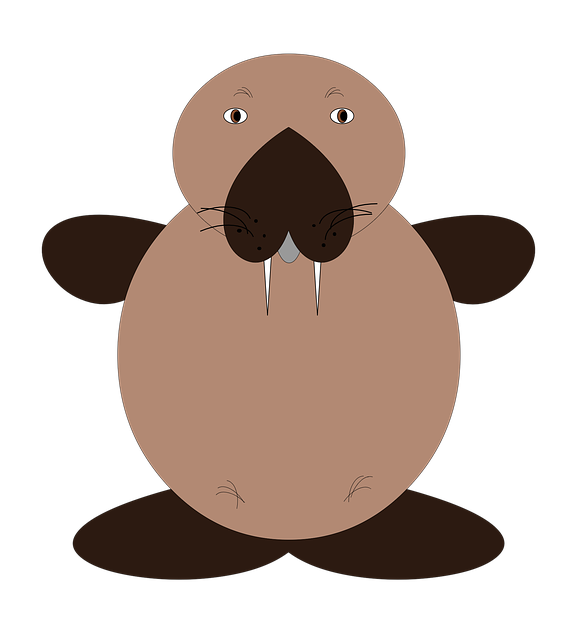 Free download The Sea Lion Animals Mammal -  free illustration to be edited with GIMP free online image editor