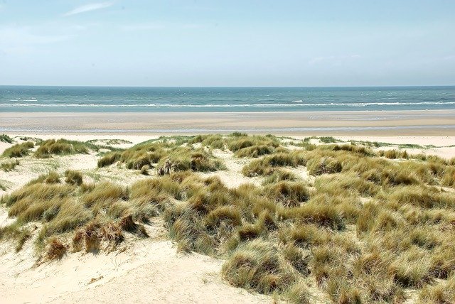 دانلود رایگان The Touquet Beach Dunes - عکس یا تصویر رایگان قابل ویرایش با ویرایشگر تصویر آنلاین GIMP