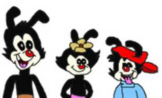 Free download The Warners From Animaniacs free photo or picture to be edited with GIMP online image editor