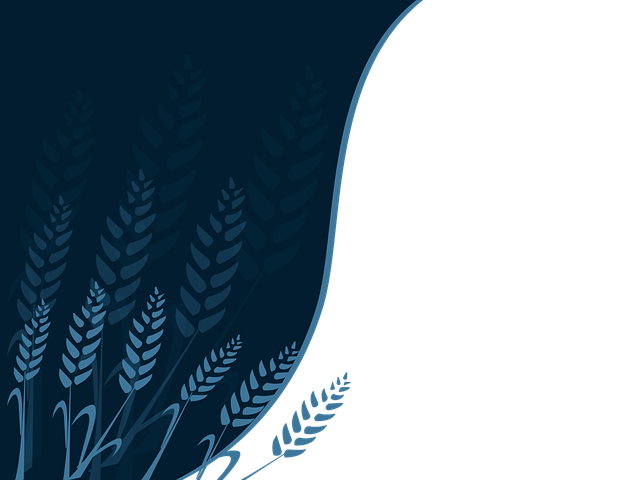 Free download The Wheat Do -  free illustration to be edited with GIMP free online image editor