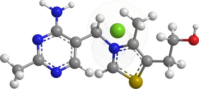 Free download Thiamine Nitrogenous Bases Organic -  free illustration to be edited with GIMP free online image editor