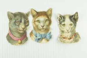 Free download Three Victorian Die Cut Cats from 1870-1880 free photo or picture to be edited with GIMP online image editor