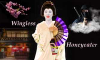 Free download Thumbnail Montage Geisha Lock Cover ( 1) free photo or picture to be edited with GIMP online image editor