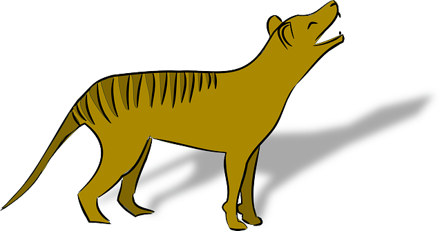 Free download Thylacine Animal Australia - Free vector graphic on Pixabay free illustration to be edited with GIMP free online image editor