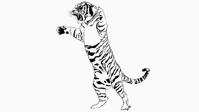 Free download Tiger Animal - Free vector graphic on Pixabay free illustration to be edited with GIMP free online image editor