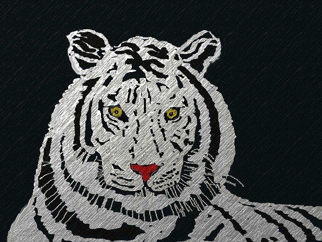 Free download Tiger Big Cat Animal -  free illustration to be edited with GIMP free online image editor