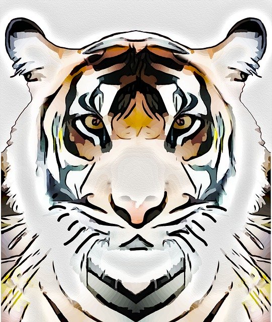 Free download Tiger Cat Predator -  free illustration to be edited with GIMP free online image editor