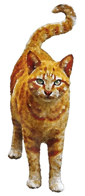 Free download Tiger Cat Watercolor Domestic -  free illustration to be edited with GIMP free online image editor