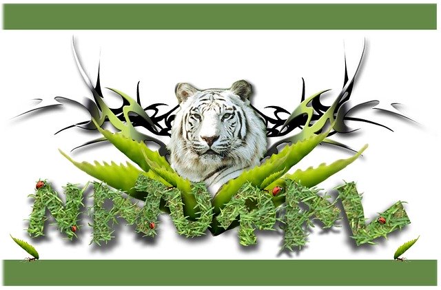 Free download Tiger Natural -  free illustration to be edited with GIMP free online image editor