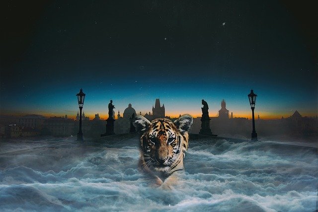 Free download Tiger Thriller Night -  free illustration to be edited with GIMP free online image editor