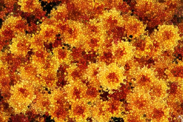 Free download Tile Flower Autumn -  free illustration to be edited with GIMP free online image editor