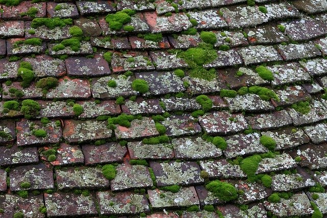 Free download Tiles Moss Roof -  free free photo or picture to be edited with GIMP online image editor