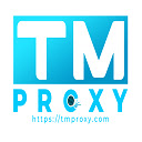 TM Proxy  screen for extension Chrome web store in OffiDocs Chromium