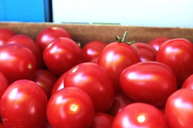 Free download Tomatoes Red Fresh -  free photo or picture to be edited with GIMP online image editor