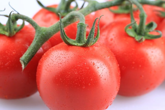 Free download tomatoes vegetables food fruits free picture to be edited with GIMP free online image editor